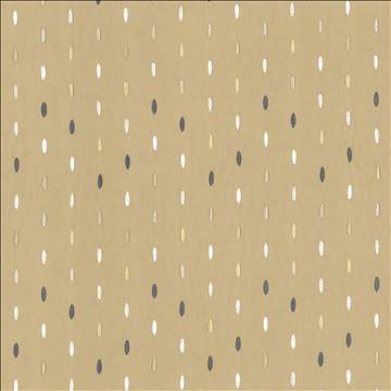 Kasmir Fabrics Rainy Day Silver Fabric 